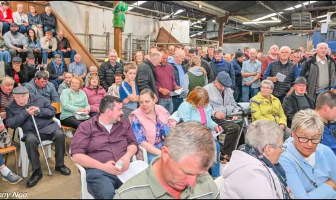 Crowd at the fundraising auction at Raphoe Livestock Mart